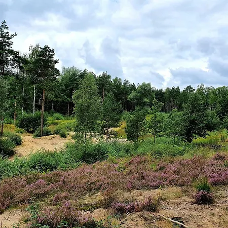 Alt Enginger Muehle Hotel 3*