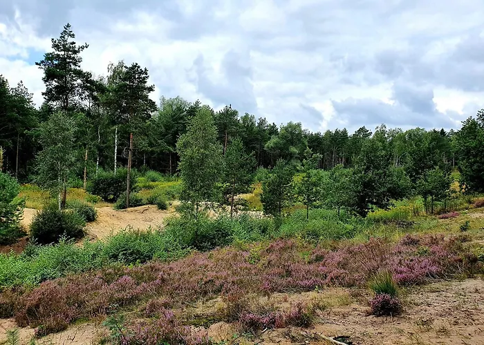 阿尔特恩基恩格尔穆勒酒店 酒店 3*