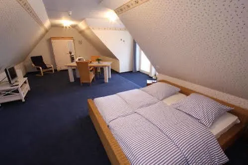 Hotell Alt Enginger Muehle 3*
